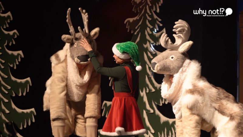 Santa Claus whynot events